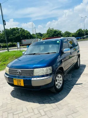 Toyota Probox 1.3 GL 2WD 2006 Blue