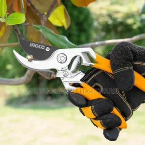 Pruning Shears