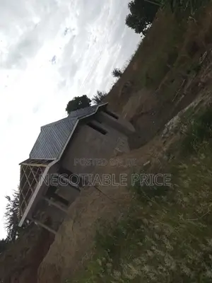 Wataalamu Wa Kupaua Kwa Gharama Nafuu