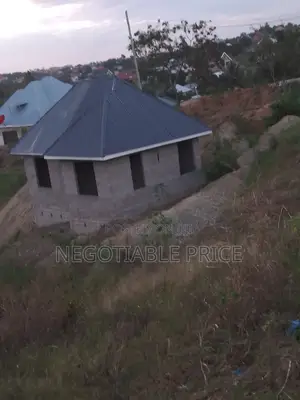 Wataalamu Wa Kupaua Kwa Gharama Nafuu