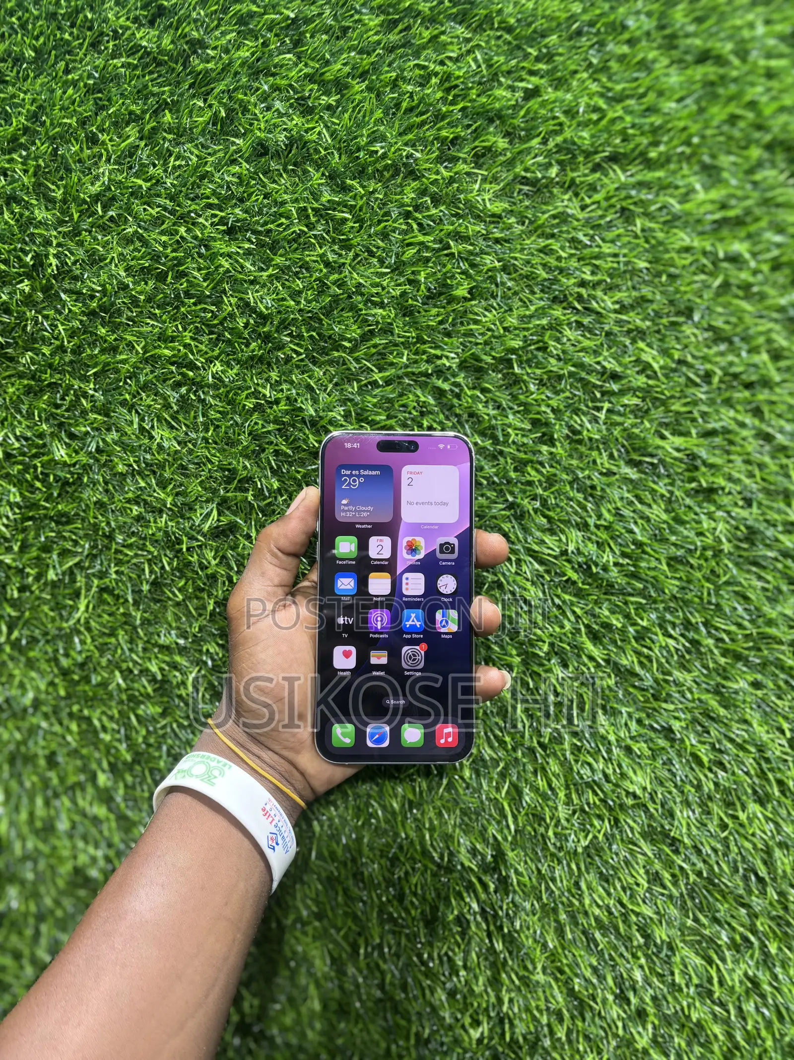 Apple iPhone 15 Pro Max 256 GB Silver