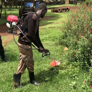 Brush Cutter Jan 2