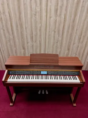 Brown Grand Digital Piano With 3 Pedal