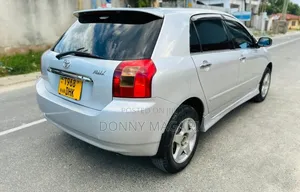Toyota Allex 2005 Silver
