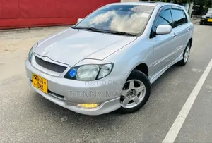 Toyota Allex 2005 Silver