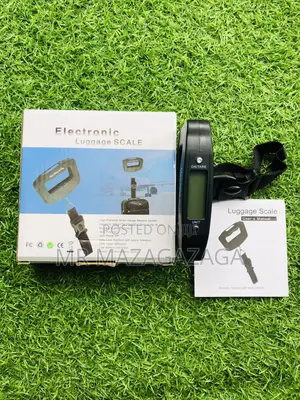 Eletronic Luggage Scare