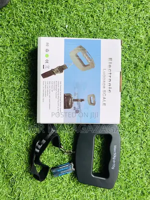 Eletronic Luggage Scare
