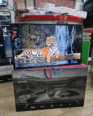 Evvoli Led Tv Inch 32