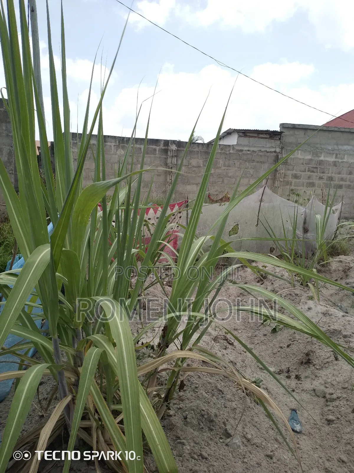 Kiwanja Kinauzwa Milioni 9.5 Gongolamboto Majohe Chuo Rada.