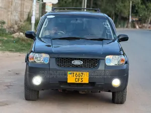 Ford Escape 2004 Black