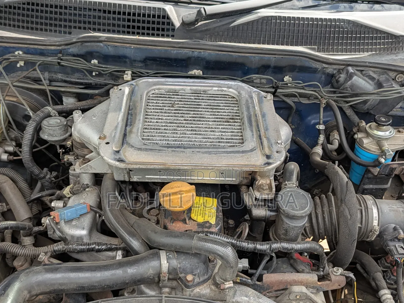 Nissan Terrano 2003 Blue