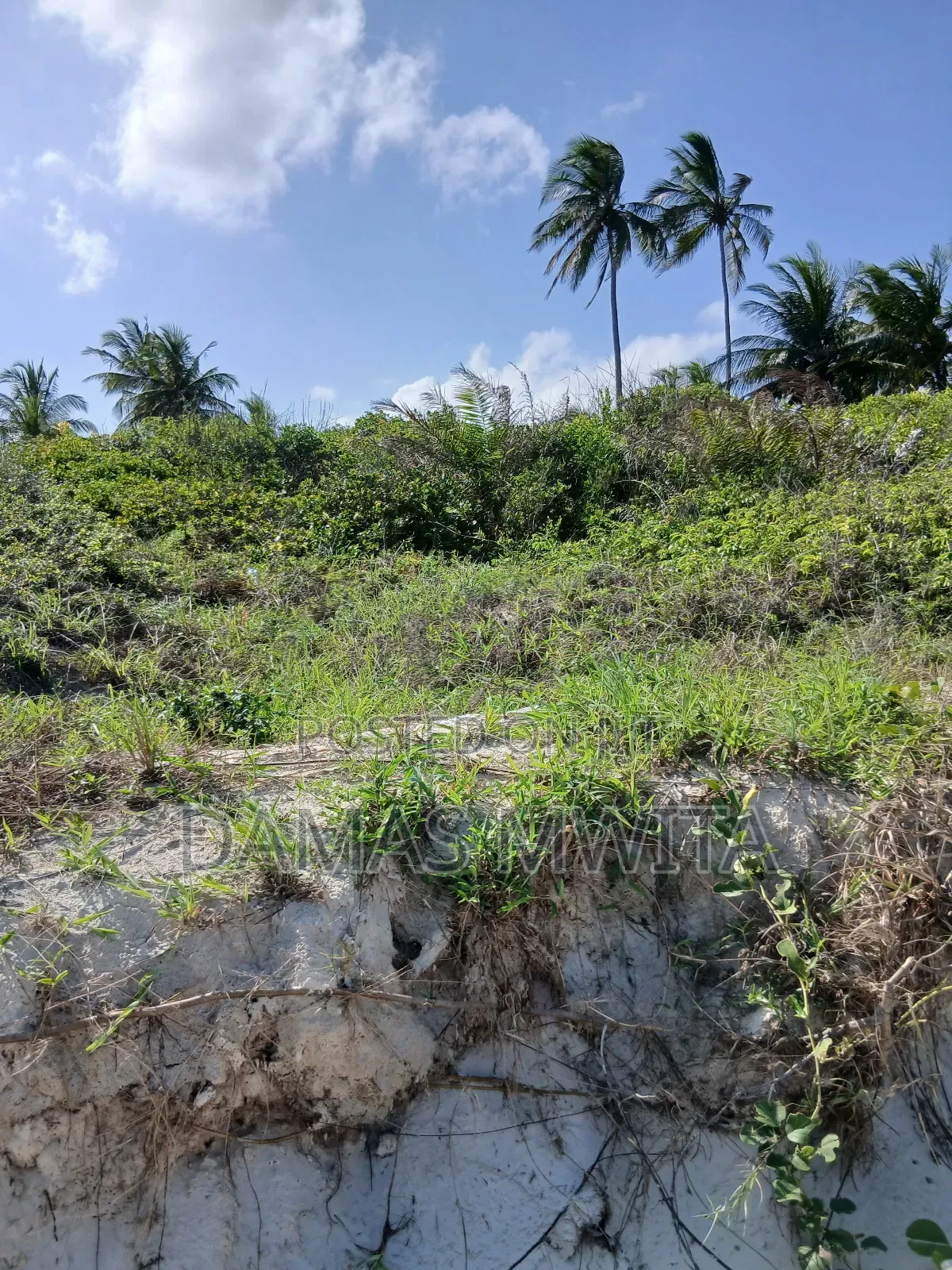 11 Acres Beach Plot for Sale at Mkuranga