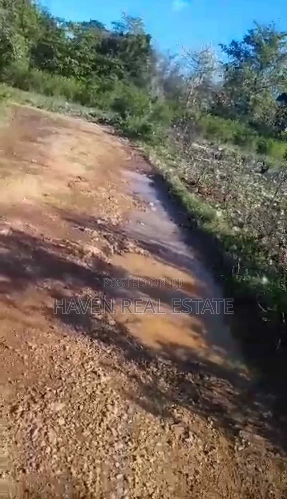 Kiwanja Kizuri Kinauzwa Skuli Tunguu Zanzibar