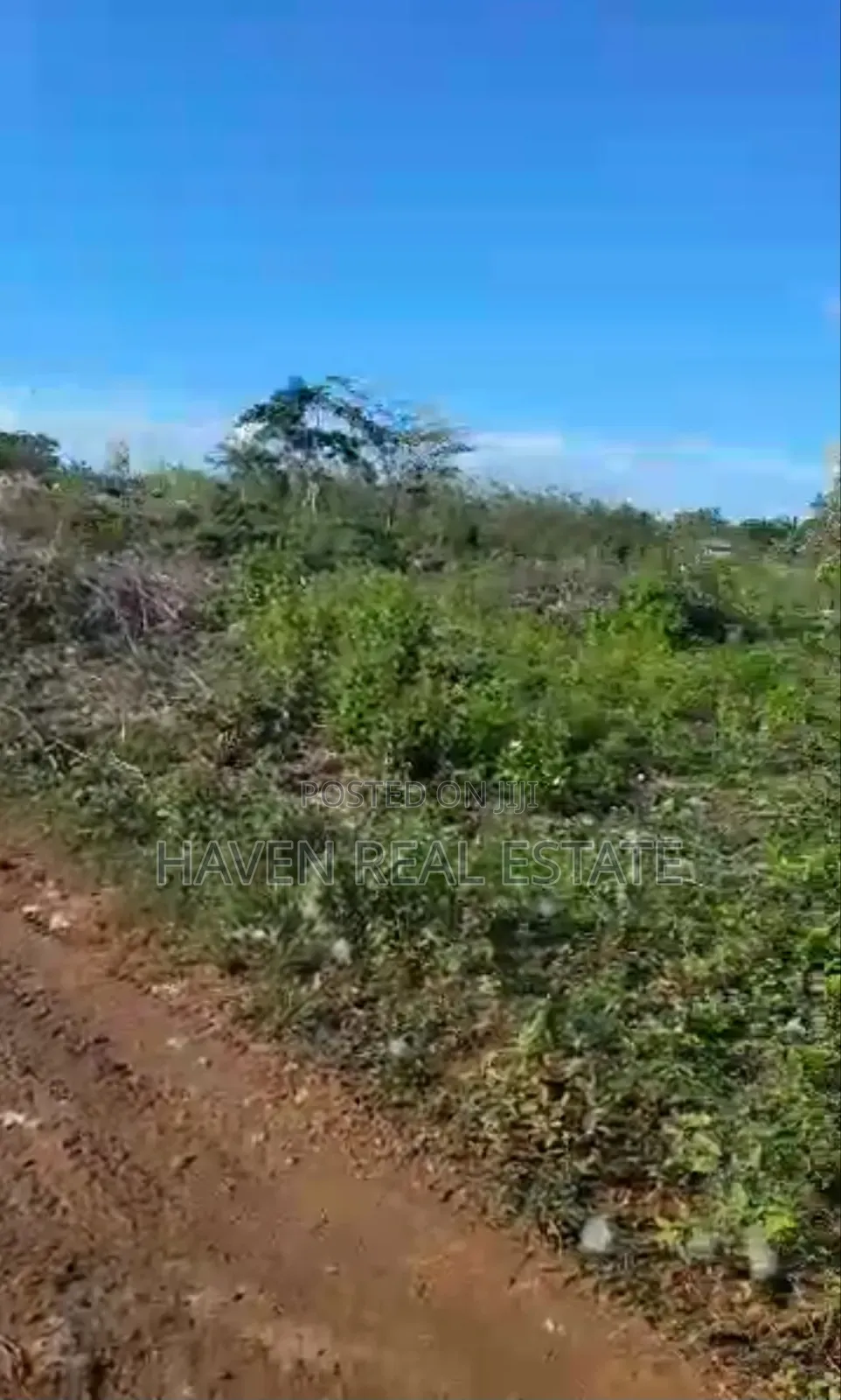 Kiwanja Kizuri Kinauzwa Skuli Tunguu Zanzibar