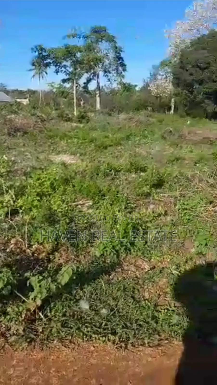Kiwanja Kizuri Kinauzwa Skuli Tunguu Zanzibar
