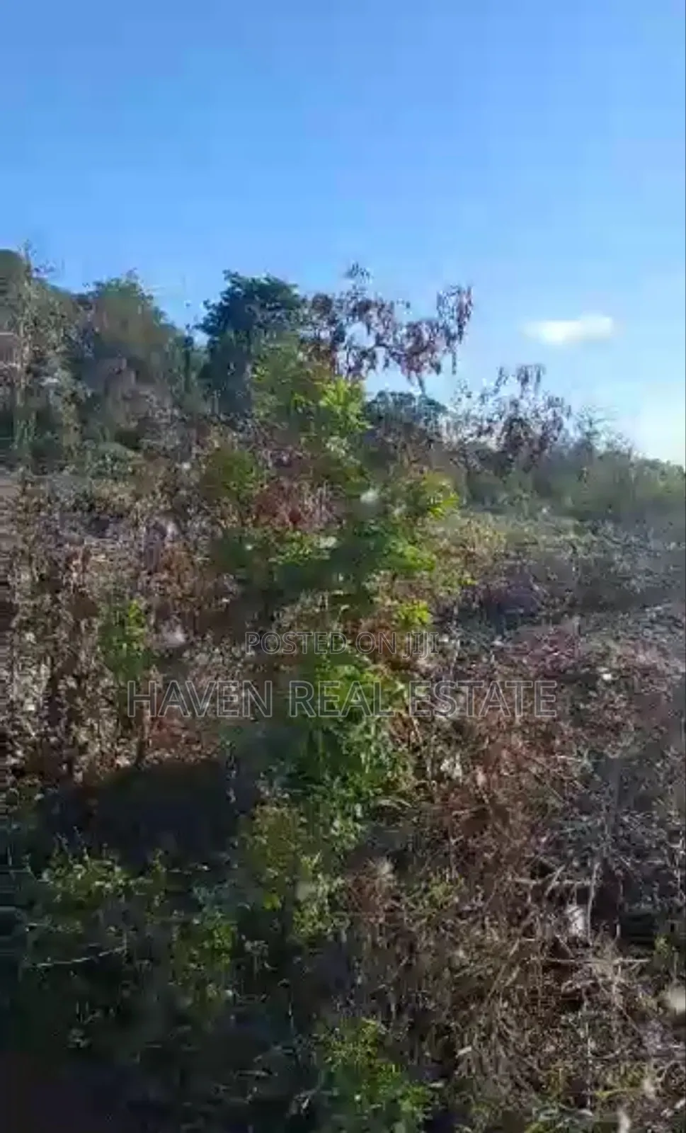 Kiwanja Kizuri Kinauzwa Skuli Tunguu Zanzibar
