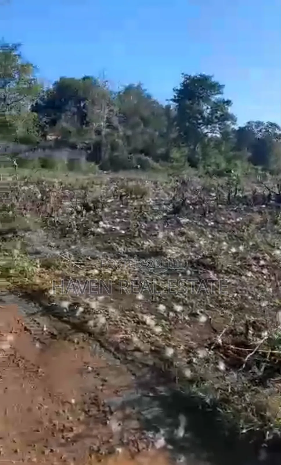 Kiwanja Kizuri Kinauzwa Skuli Tunguu Zanzibar