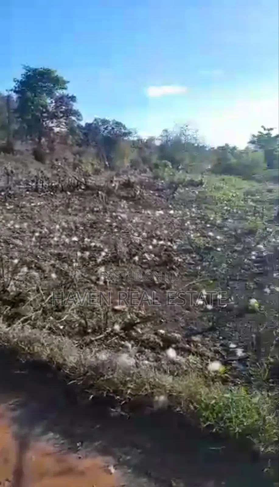 Kiwanja Kizuri Kinauzwa Skuli Tunguu Zanzibar