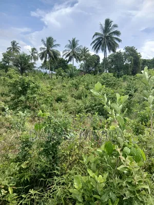 4 Acres Prime Industrial and Investment Land for Sale in Mkuranga