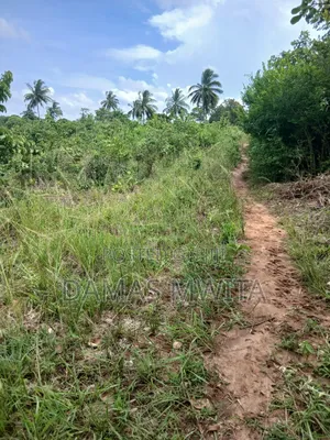 4 Acres Prime Industrial and Investment Land for Sale in Mkuranga
