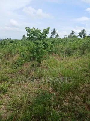4 Acres Prime Industrial and Investment Land for Sale in Mkuranga