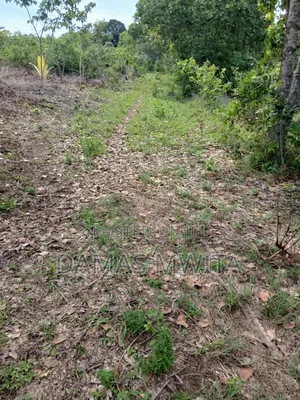 4 Acres Prime Industrial and Investment Land for Sale in Mkuranga