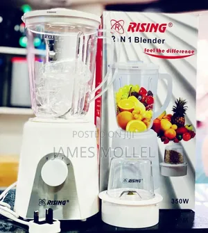 Rising Blender 3 in 1 350watts