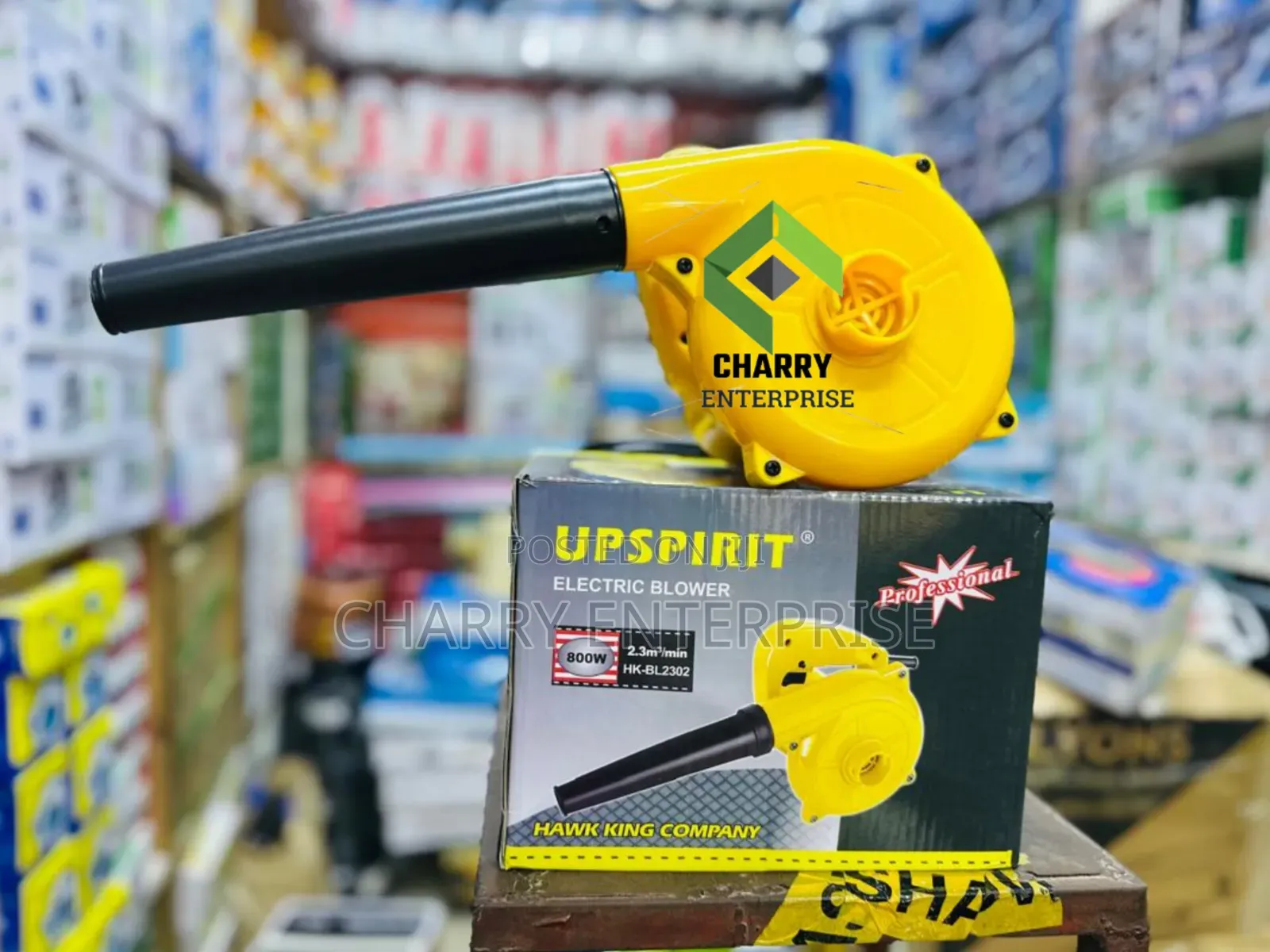 Portable Professional Electric Blower 800w Inavuta Na Kupuliza Vumbi