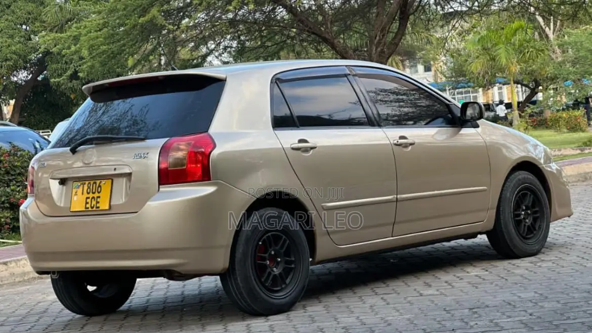 Toyota Corolla RunX 2004 Gold