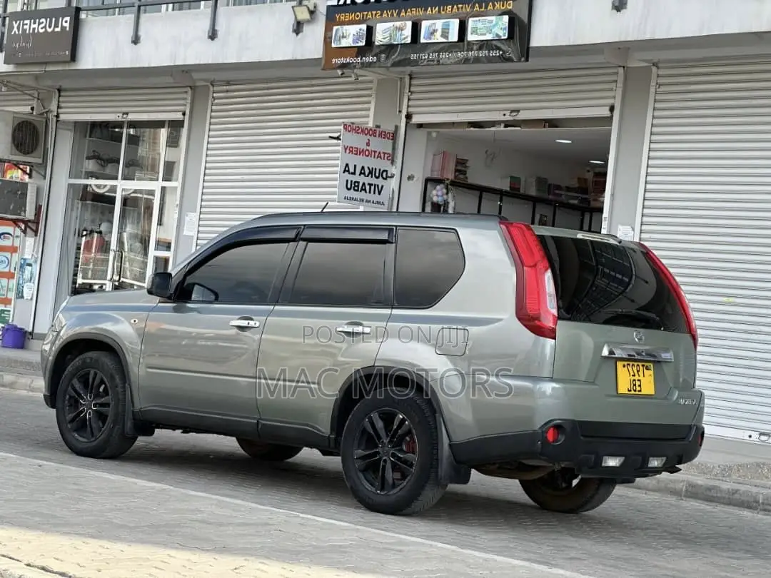 Nissan X-Trail 2010 Gray