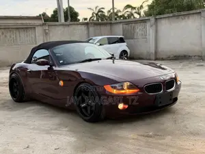 BMW Z4 2004 Burgundy