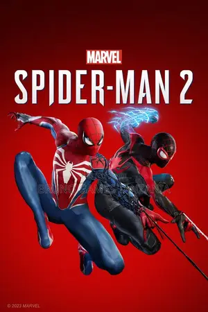 Playstation 5 Installation Mwanza
