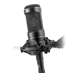 At2035 Professional Studio Condenser Microphone – Studio Sound Quality