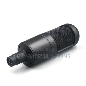 At2035 Professional Studio Condenser Microphone – Studio Sound Quality