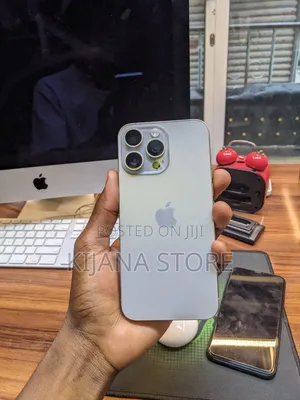 Apple iPhone 15 Pro Max 256 GB Gray