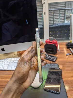 Apple iPhone 15 Pro Max 256 GB Gray