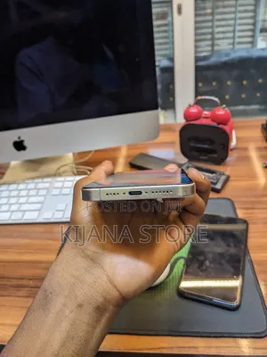 Apple iPhone 15 Pro Max 256 GB Gray