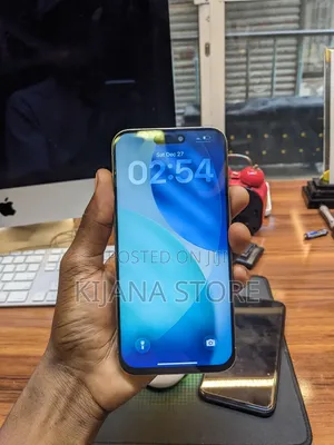 Apple iPhone 15 Pro Max 256 GB Gray