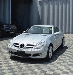 Mercedes-Benz SLK-Class 2004 Silver