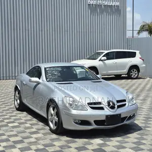 Mercedes-Benz SLK-Class 2004 Silver