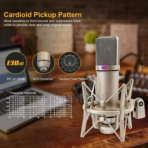 U-87 Microphone Condenser