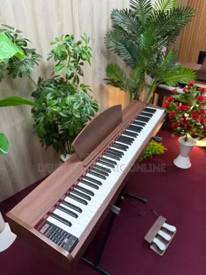 Digital Piano 3 Pedal 
88 Keys Hammer Action Heavy Weight Keys 
.