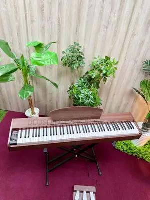 Digital Piano 3 Pedal 
88 Keys Hammer Action Heavy Weight Keys 
.