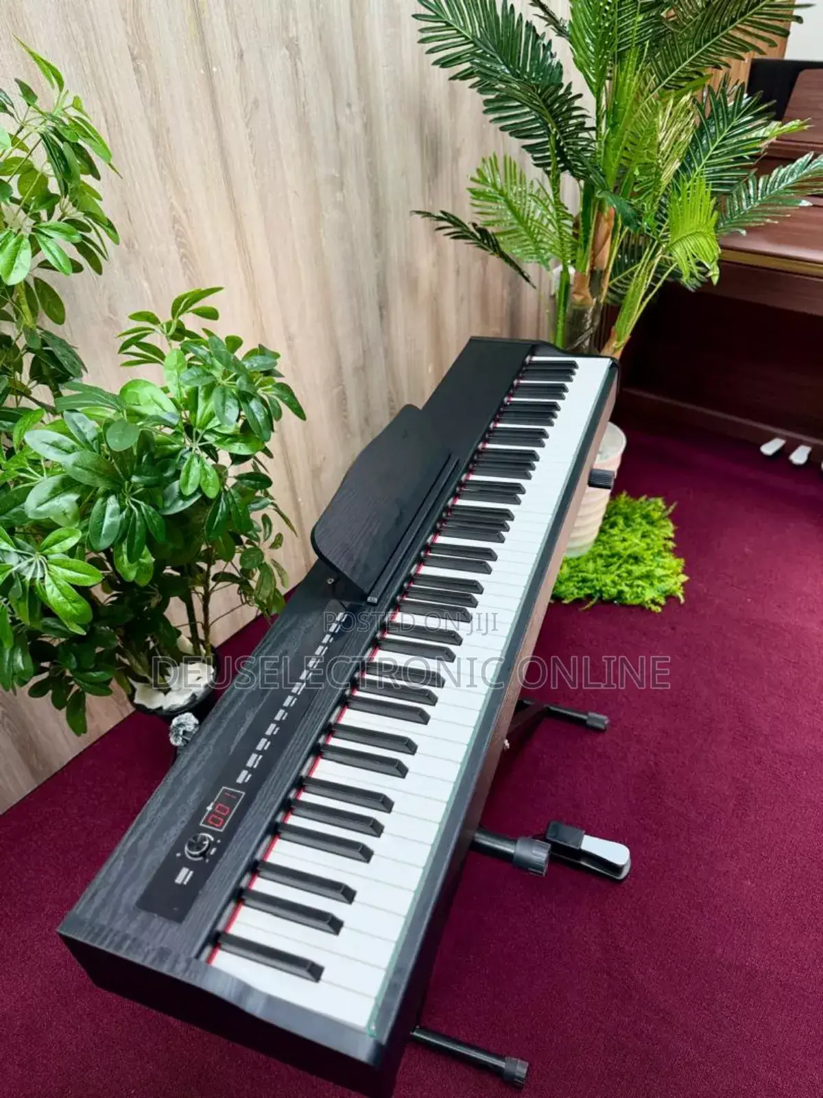 Digital Piano 3 Pedal 
88 Keys Hammer Action Heavy Weight Keys 
.