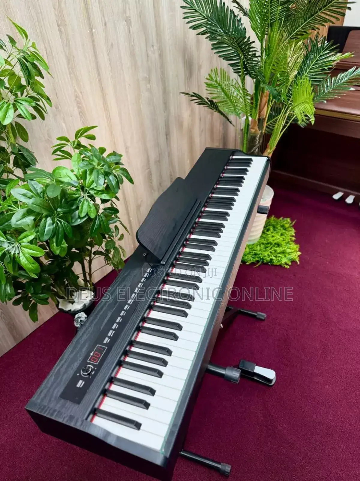 Digital Piano 3 Pedal 
88 Keys Hammer Action Heavy Weight Keys 
.