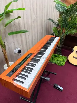 Digital Piano Single Pedal Keys 88 . With Stand