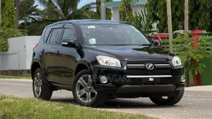Toyota RAV4 2010 Black