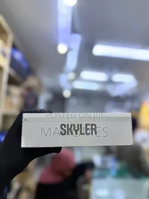 Rayban/Meta Skyler Glasses
