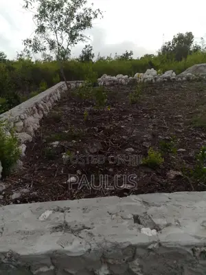 Residential Plot Right Behind Melia Hotel Kiwengwa