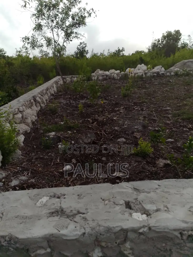 Residential Plot Right Behind Melia Hotel Kiwengwa